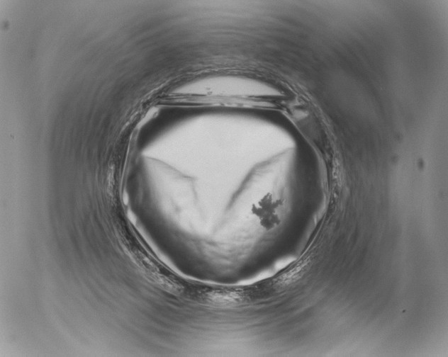 X0000052590066200507221619