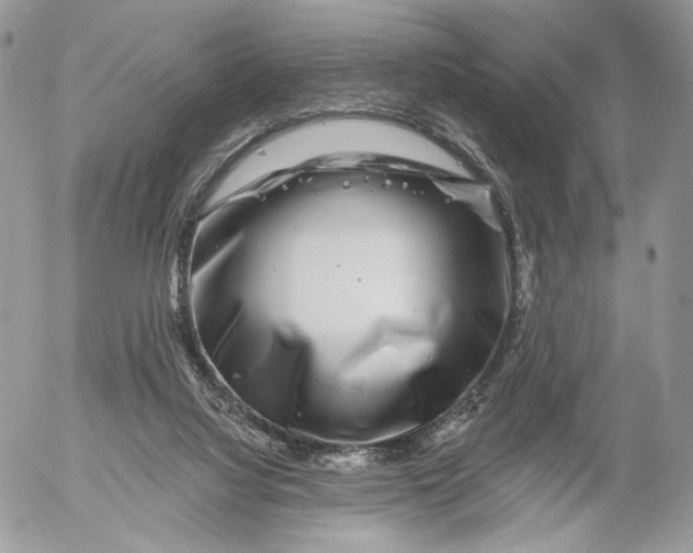 X0000052590068200507221619