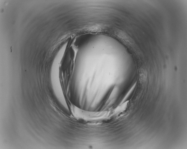 X0000052590072200507221619