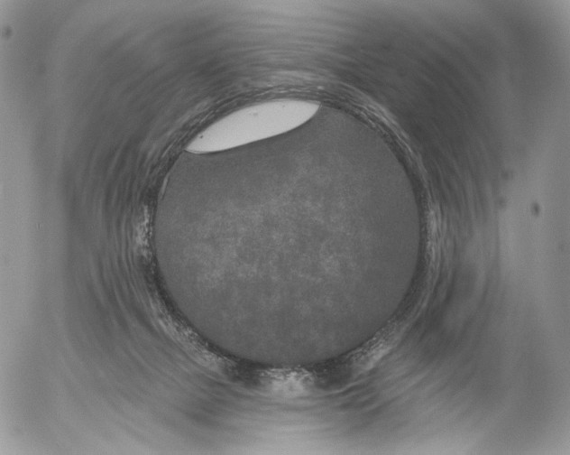 X0000052590073200507221619