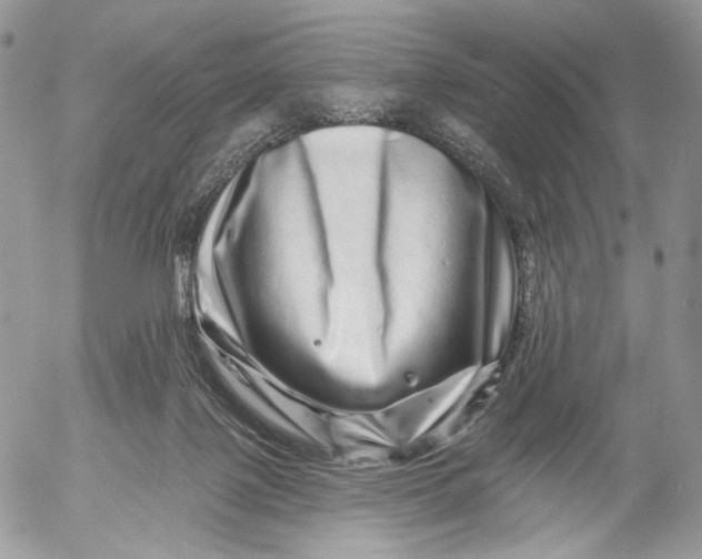 X0000052590075200507221619