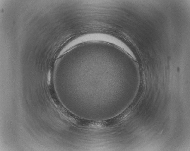 X0000052590076200507221619