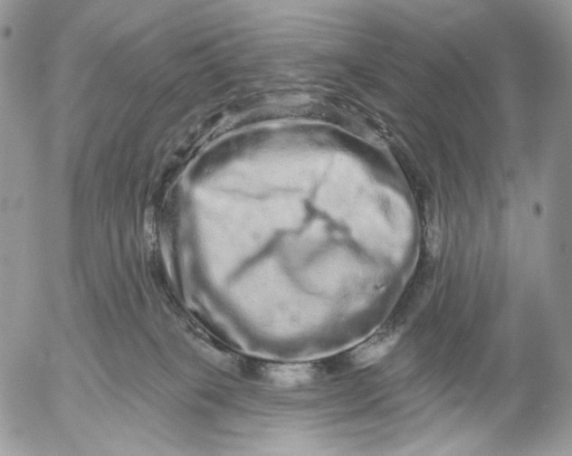 X0000052590085200507221619