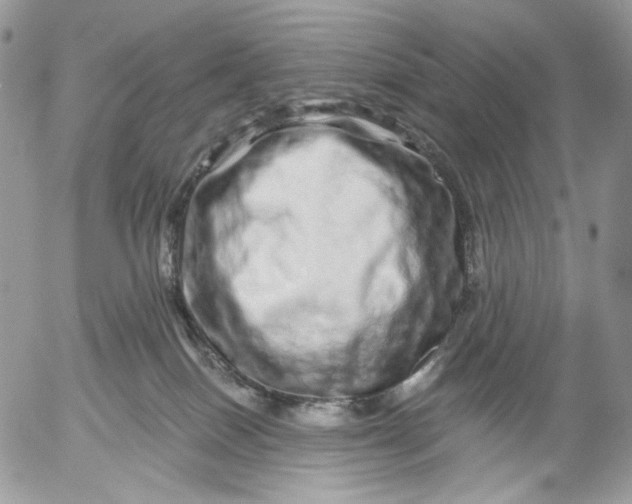 X0000052590086200507221619