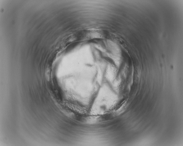 X0000052590090200507221619