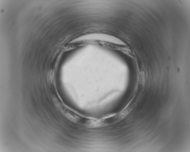 X0000052590093200507221619