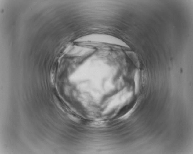 X0000052590094200507221619
