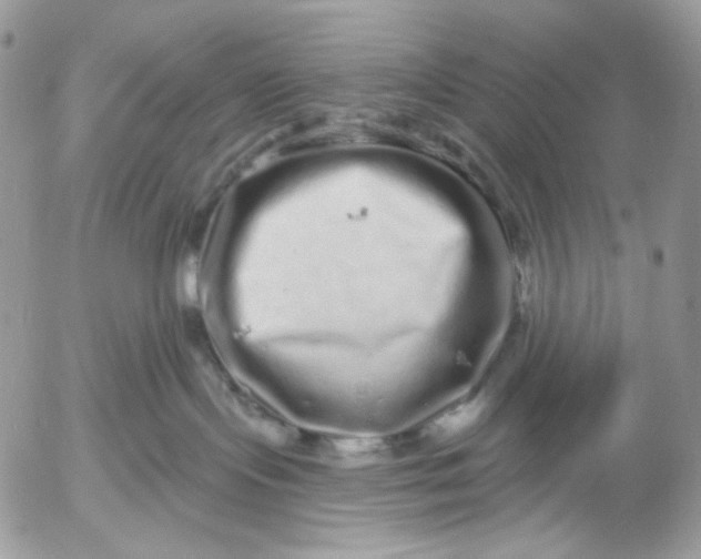 X0000052590095200507221619