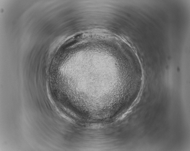 X0000052590097200507221619