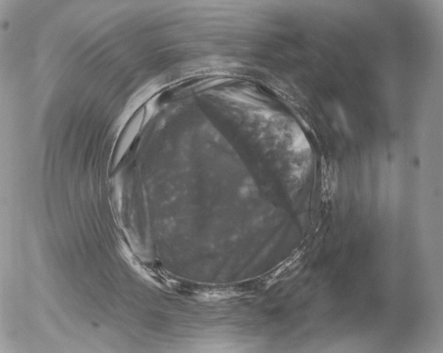 X0000052590099200507221619
