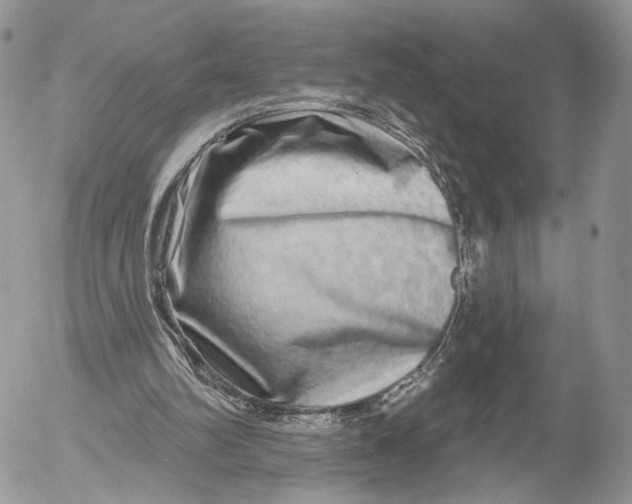 X0000052590102200507221619