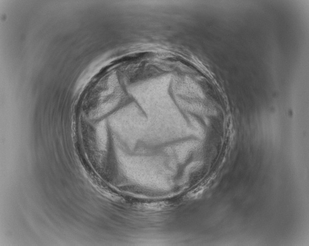 X0000052590103200507221619