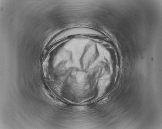 X0000052590107200507221619