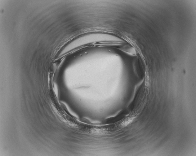 X0000052590109200507221618