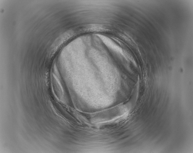 X0000052590111200507221618