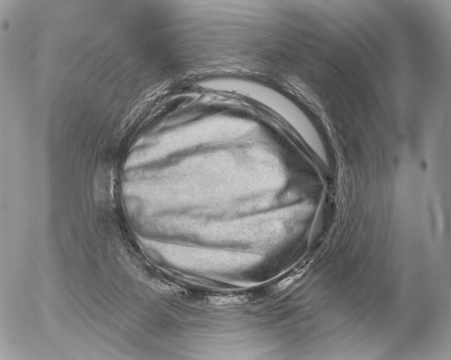 X0000052590115200507221618