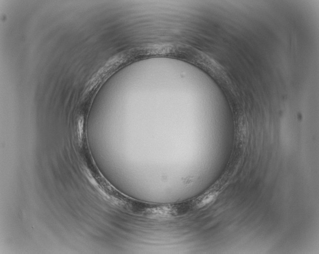 X0000052590118200507221618