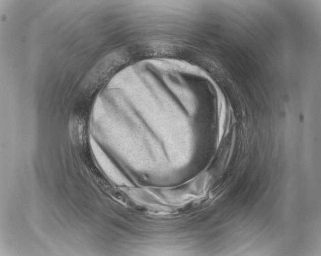 X0000052590123200507221618