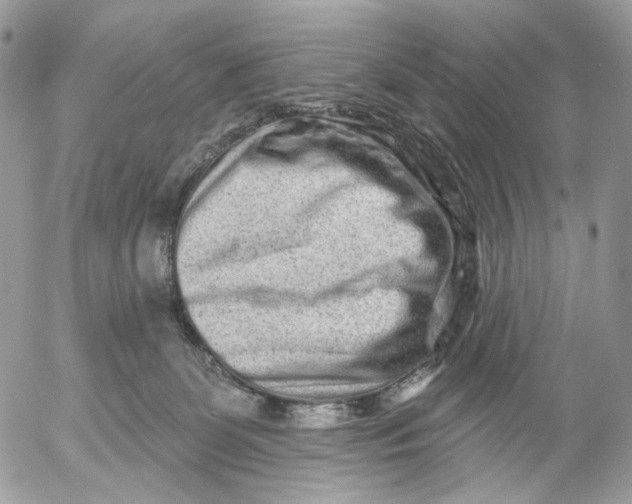X0000052590131200507221618