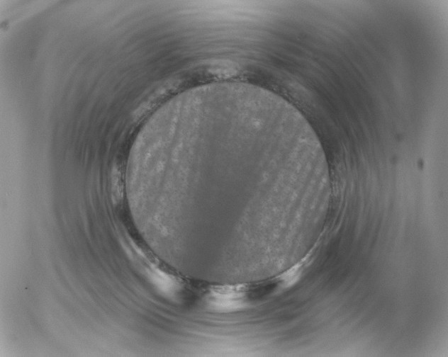 X0000052590136200507221618