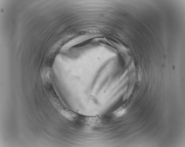 X0000052590141200507221618