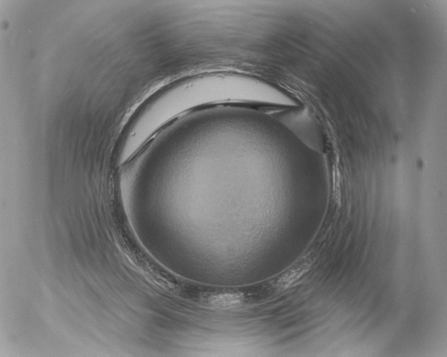 X0000052590156200507221617