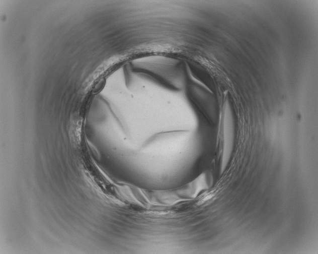 X0000052590160200507221617