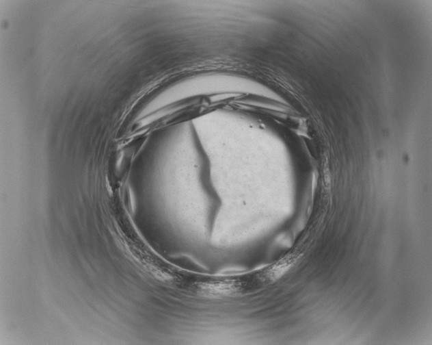 X0000052590164200507221617