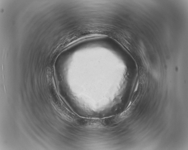 X0000052590175200507221618