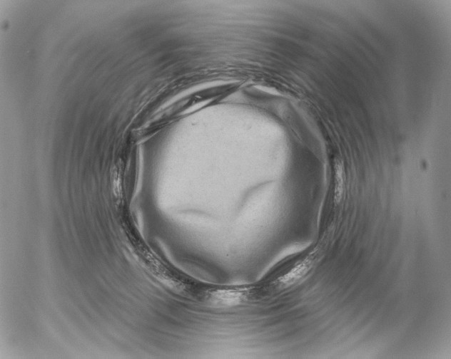 X0000052590176200507221618