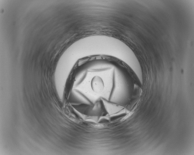 X0000052590184200507221618