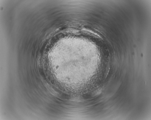 X0000052590185200507221618
