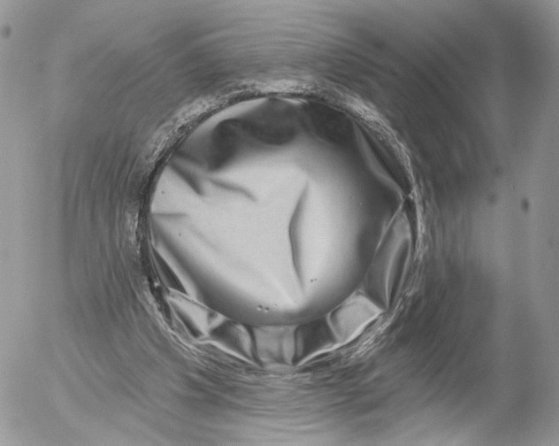X0000052590201200507221617