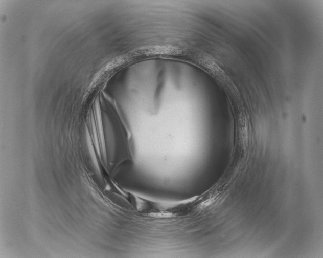 X0000052590207200507221617