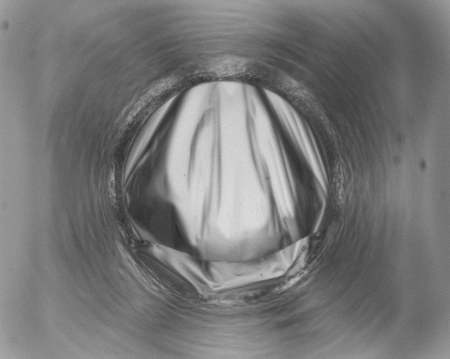 X0000052590212200507221617