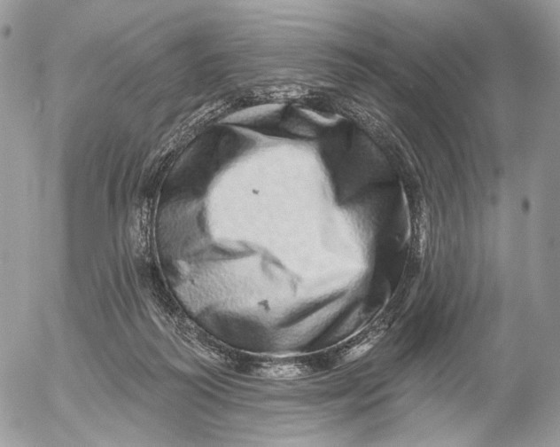 X0000052590218200507221617