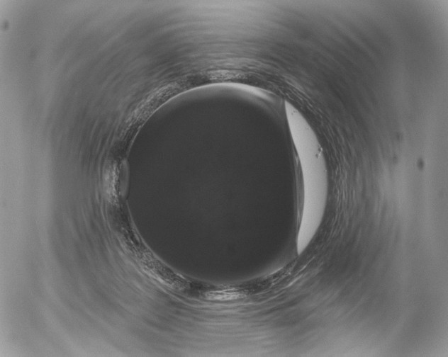 X0000052590219200507221617
