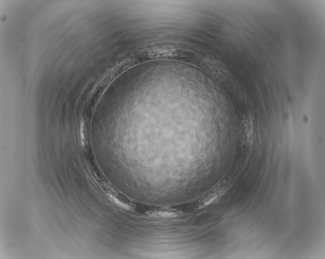 X0000052590224200507221617