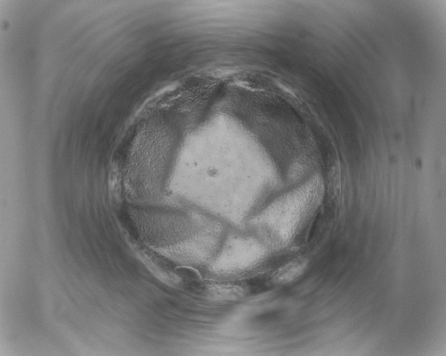 X0000052590234200507221616