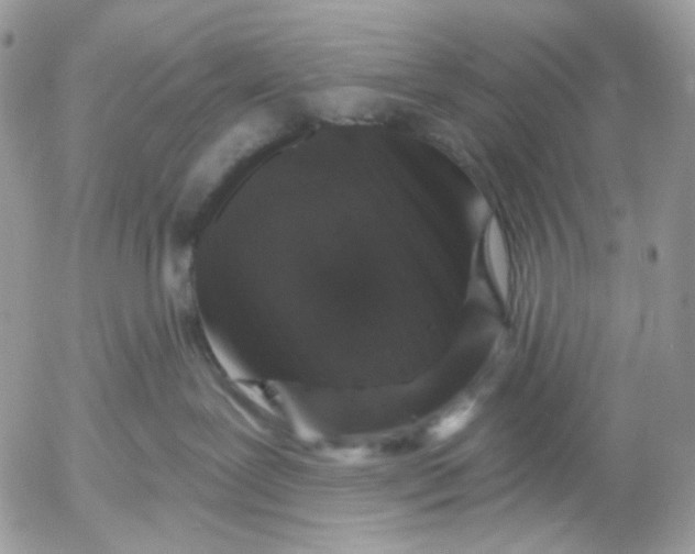 X0000052590239200507221616