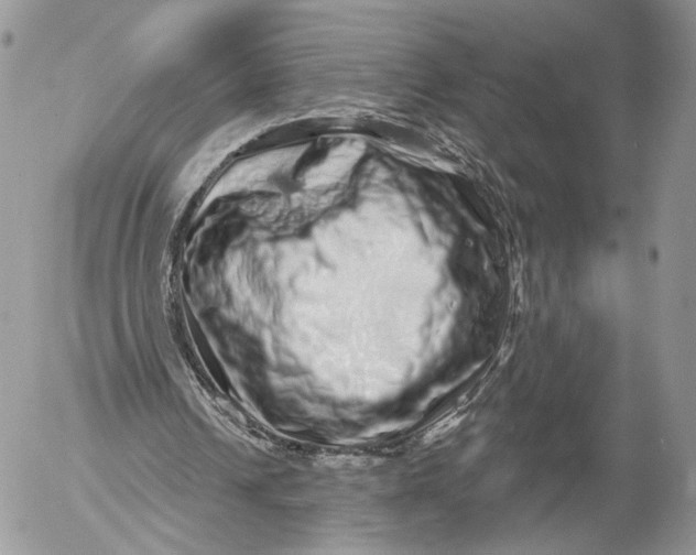 X0000052590242200507221616