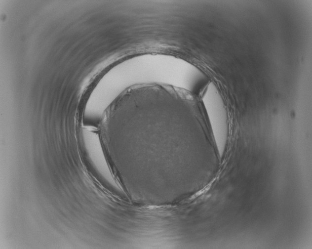 X0000052590244200507221616