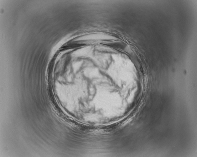 X0000052590246200507221616