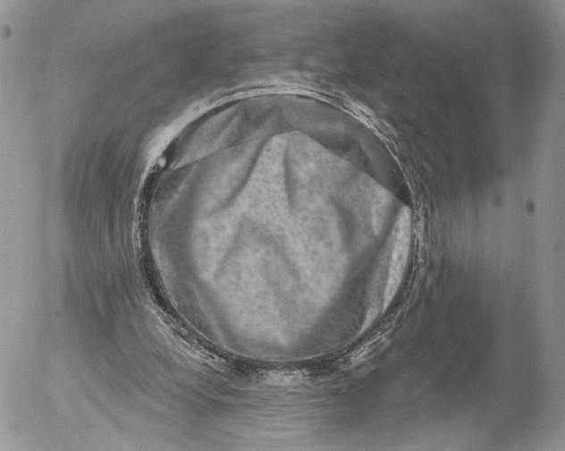 X0000052590248200507221616