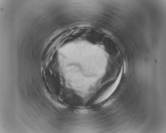 X0000052590253200507221616