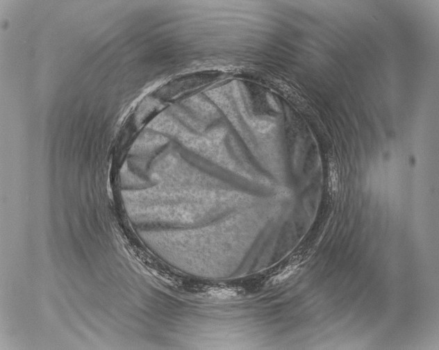 X0000052590256200507221616