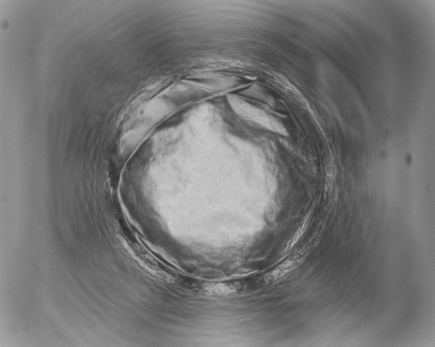 X0000052590257200507221616