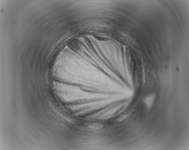 X0000052590258200507221616
