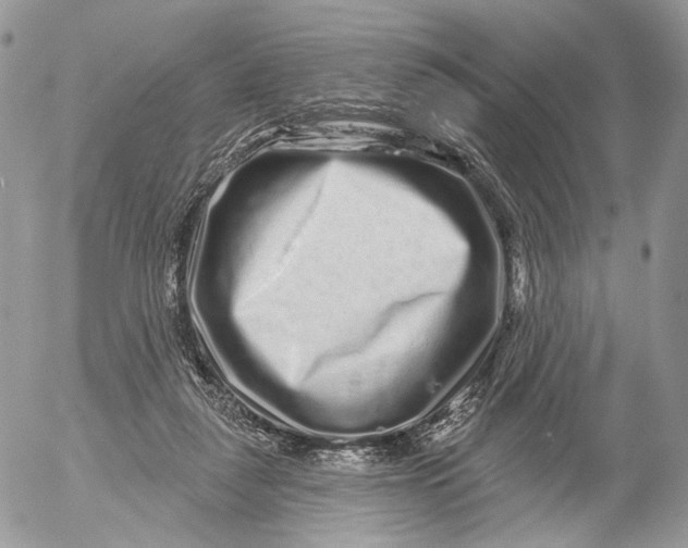 X0000052590259200507221616
