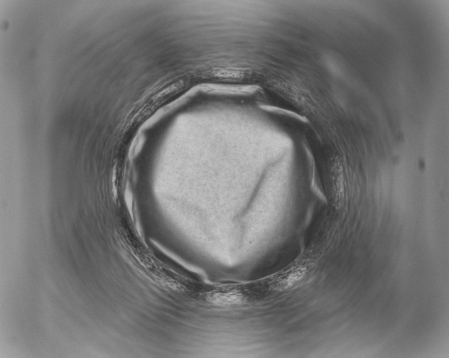 X0000052590262200507221616